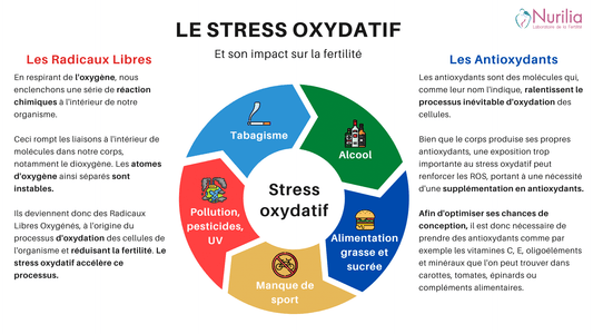 Le Stress Oxydatif : un problème méconnu